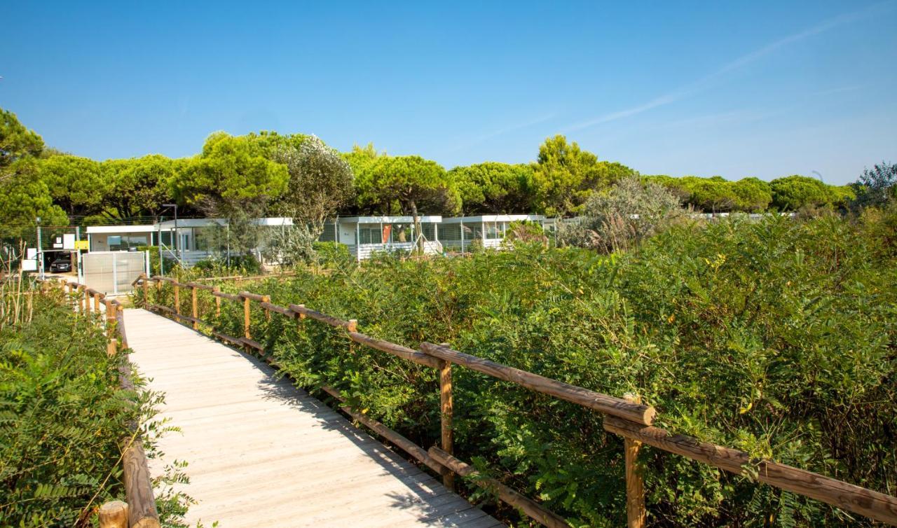 Club Del Sole Family 4* Lido di Jesolo